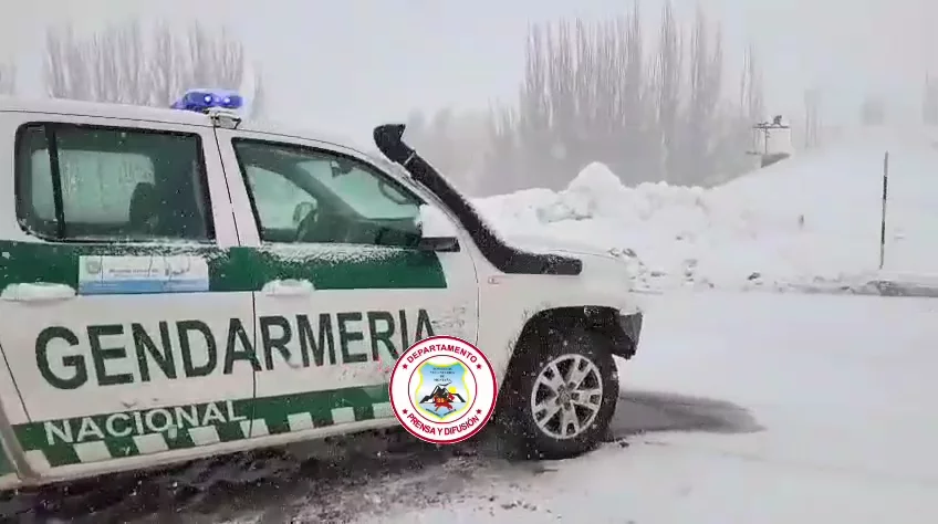 WhatsApp Video 2026-07-31 at 10.03.58 AM