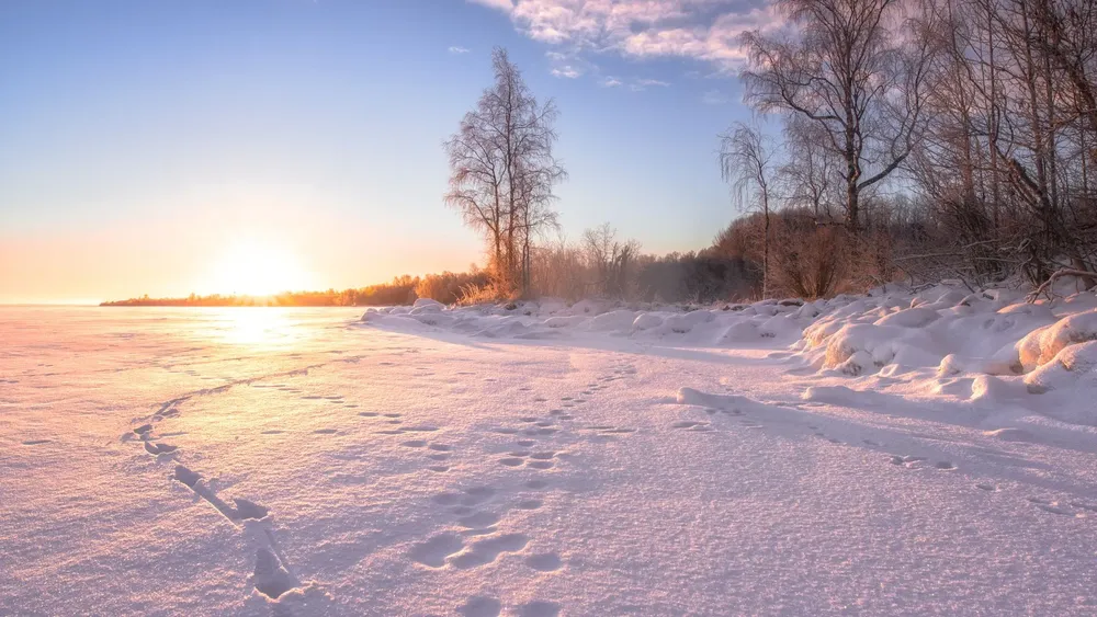 Feliz Nochebuena - 2025-07-18T213902.075