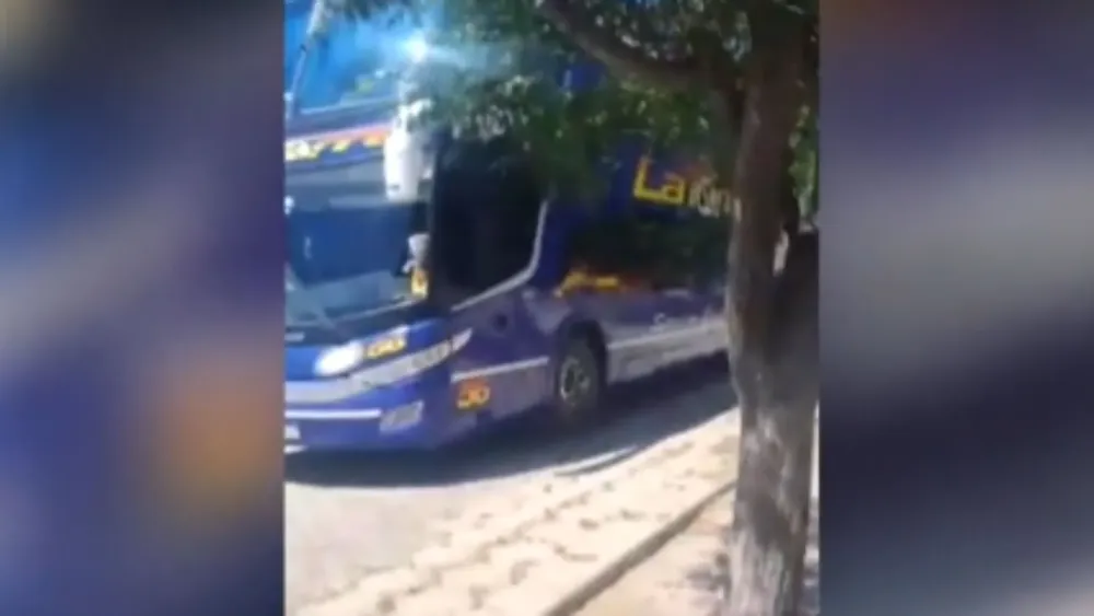 Feliz Nochebuena (95)