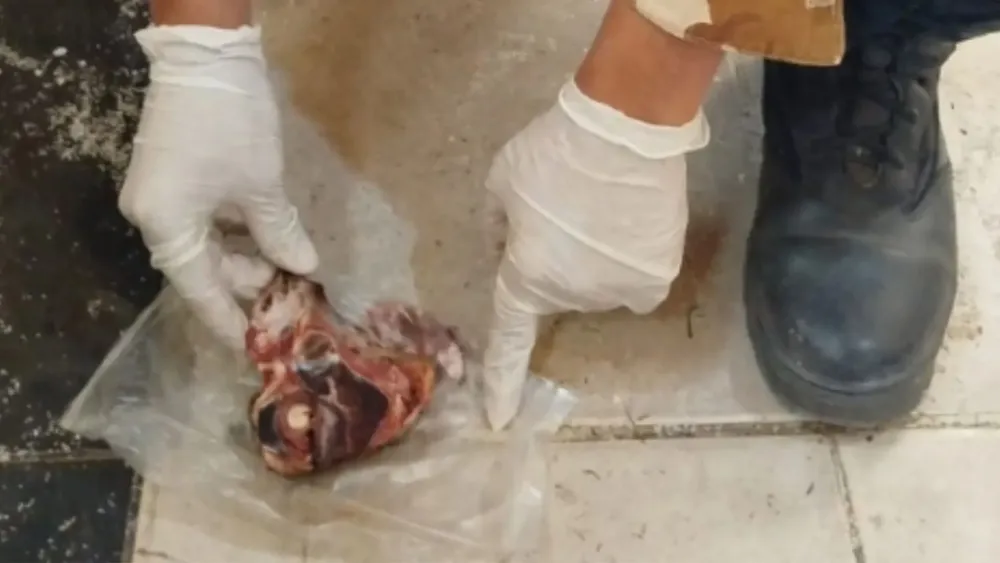 Feliz Nochebuena (40)