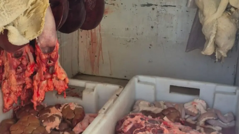 Feliz Nochebuena (45)