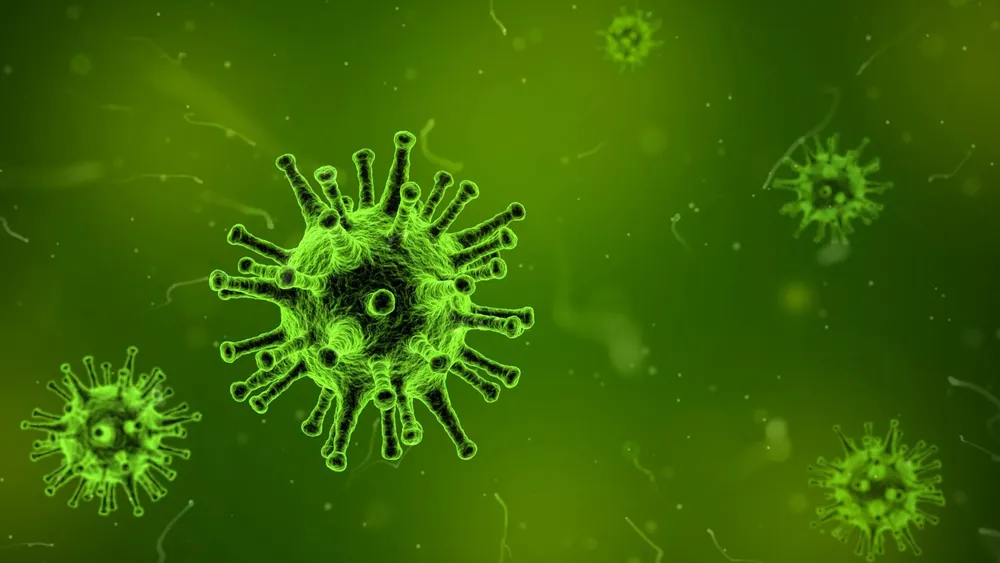 bacterias
