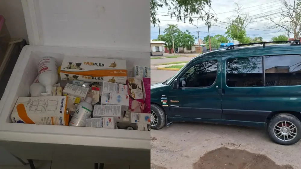 Feliz Nochebuena - 2026-01-10T133042.238