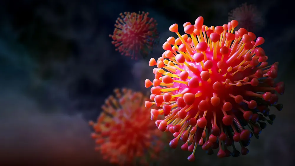 Feliz Nochebuena - 2025-08-06T084720.873