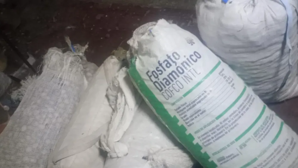 Feliz Nochebuena - 2025-06-08T122812.868