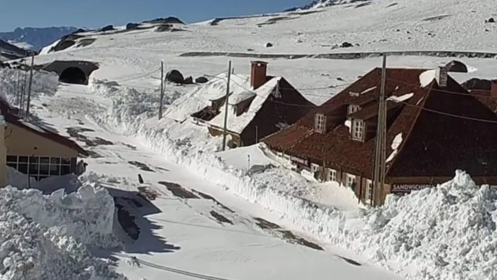 nieve mendoza