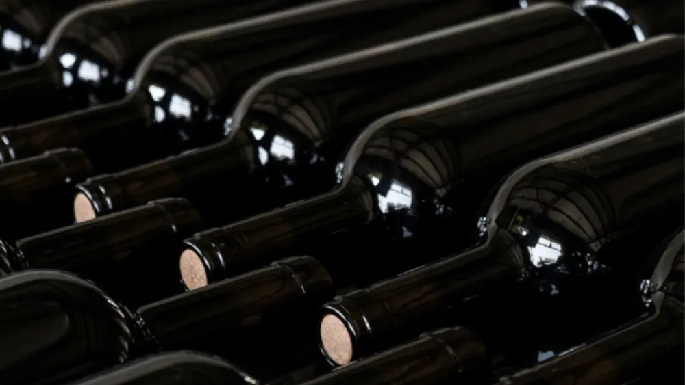 vino