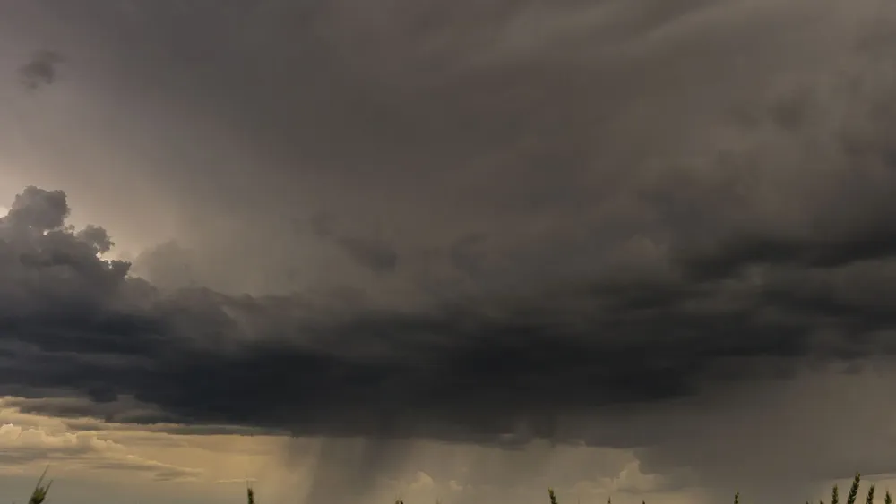 Feliz Nochebuena - 2025-08-27T094223.806