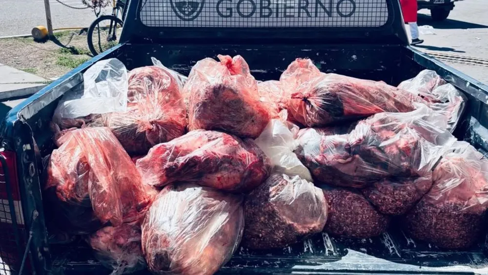 decomiso carne