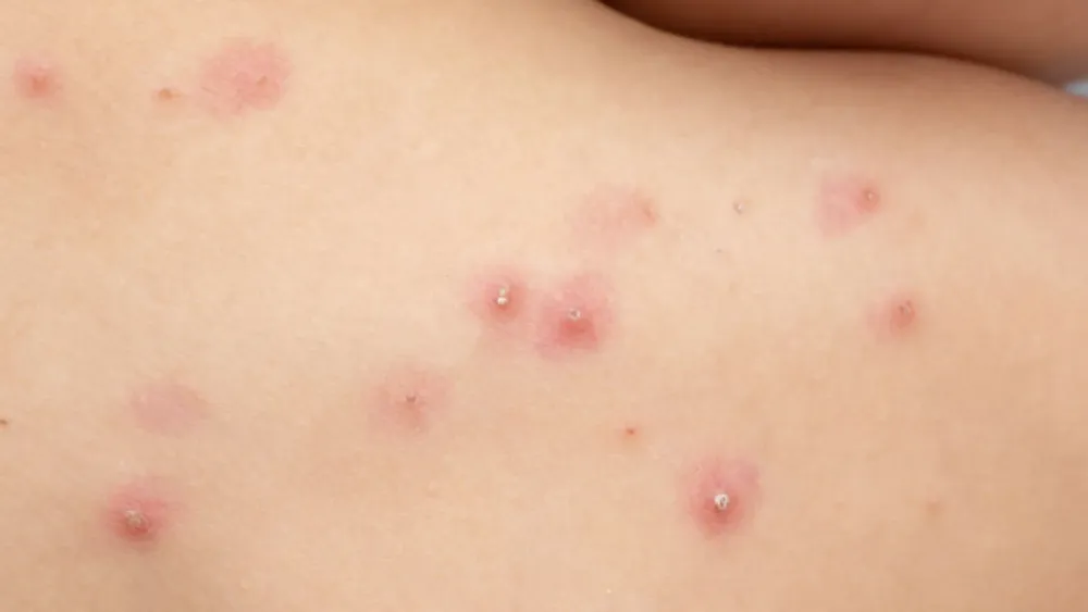 Feliz Nochebuena - 2025-06-07T015840.795