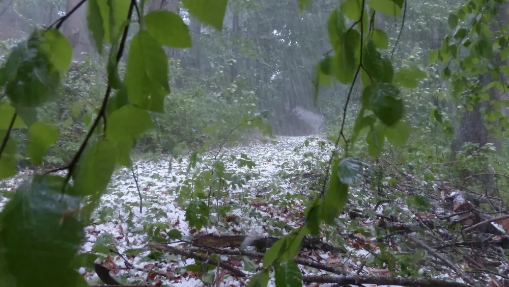 Feliz Nochebuena - 2025-08-30T212457.402