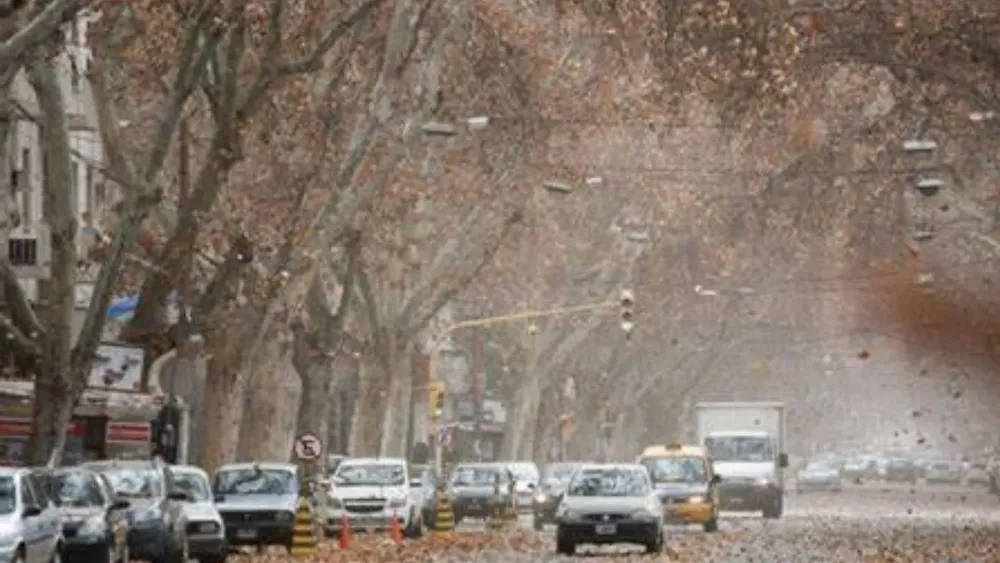 Feliz Nochebuena - 2025-09-10T115516.262