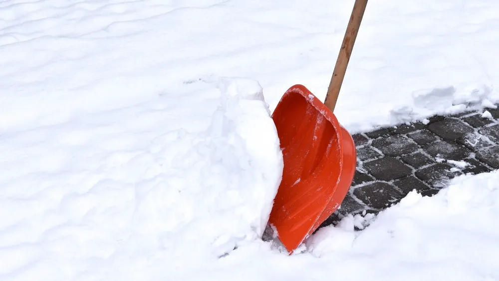 nieve