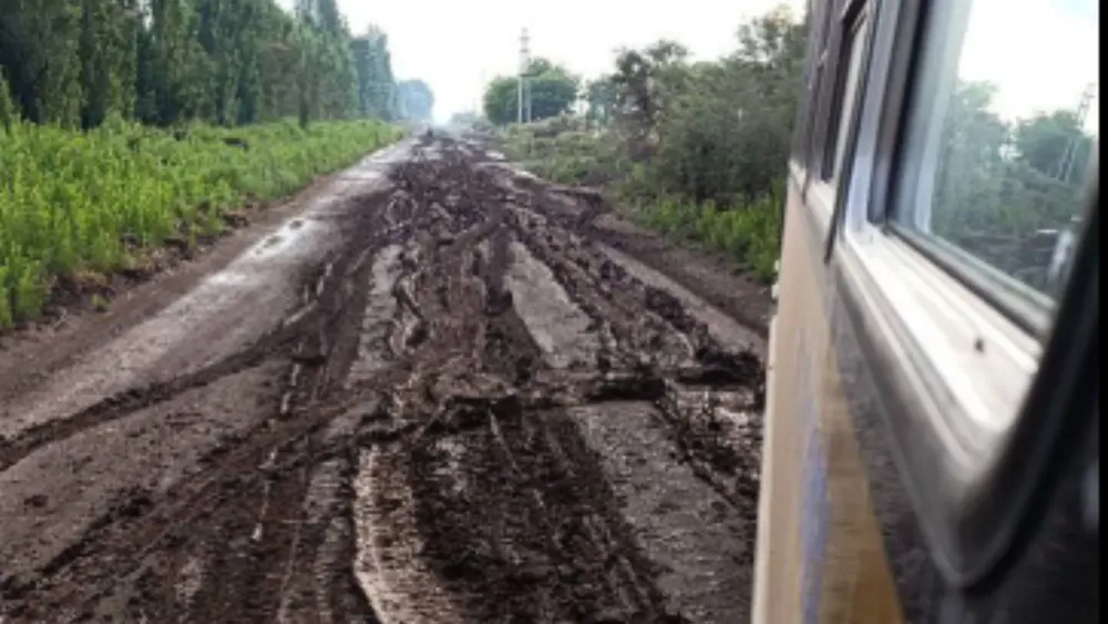 Feliz Nochebuena (76)