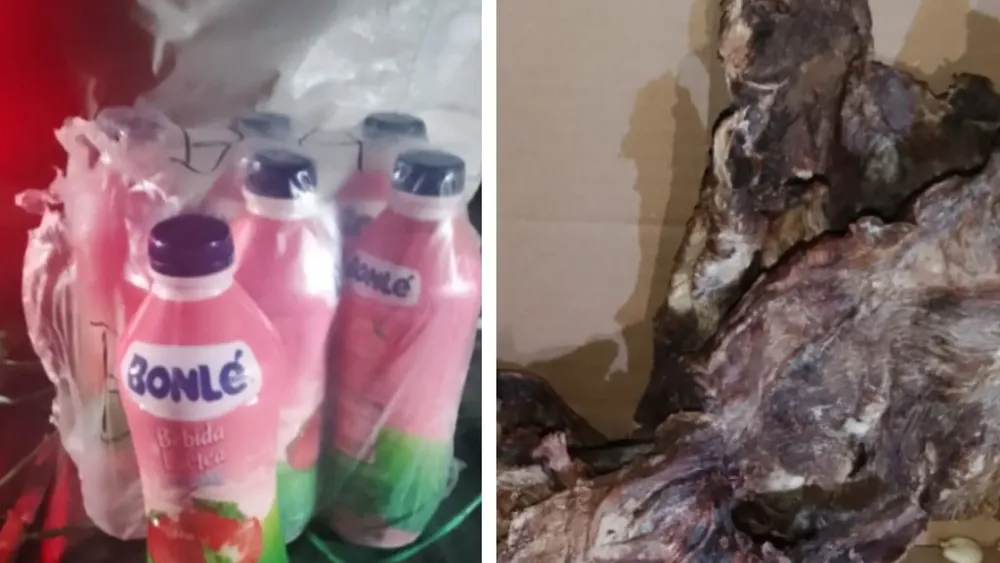 Feliz Nochebuena (54)