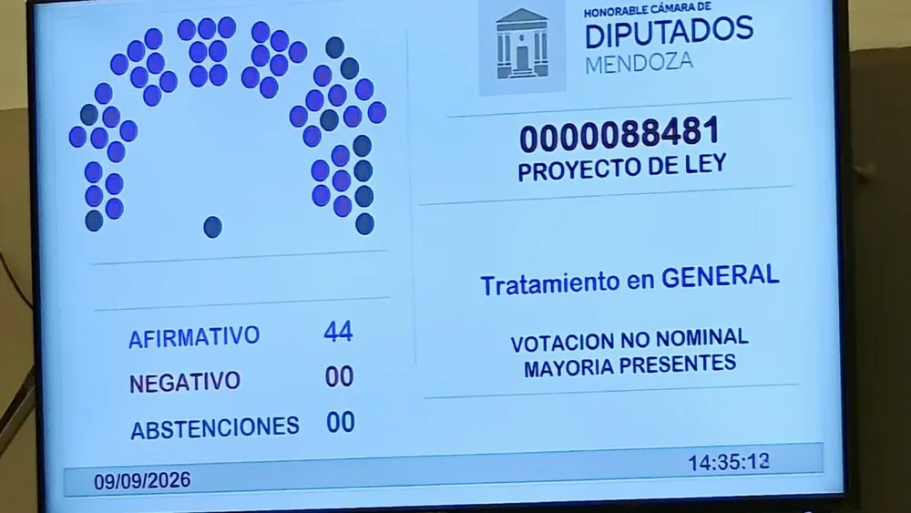 votacion diputados