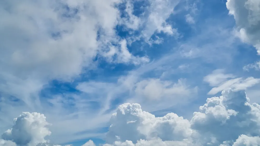 Feliz Nochebuena (16)