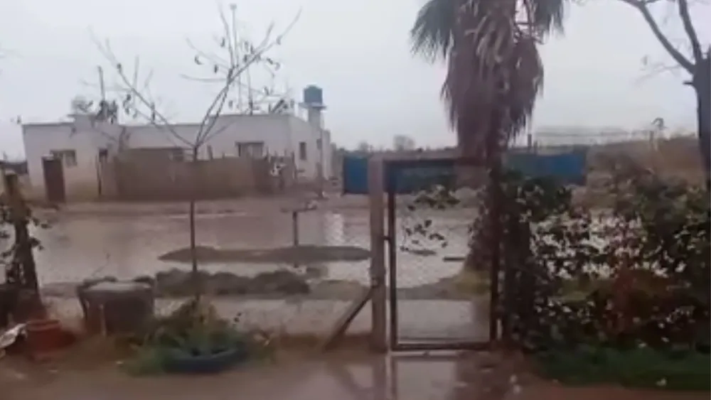 Feliz Nochebuena - 2025-08-31T134213.135