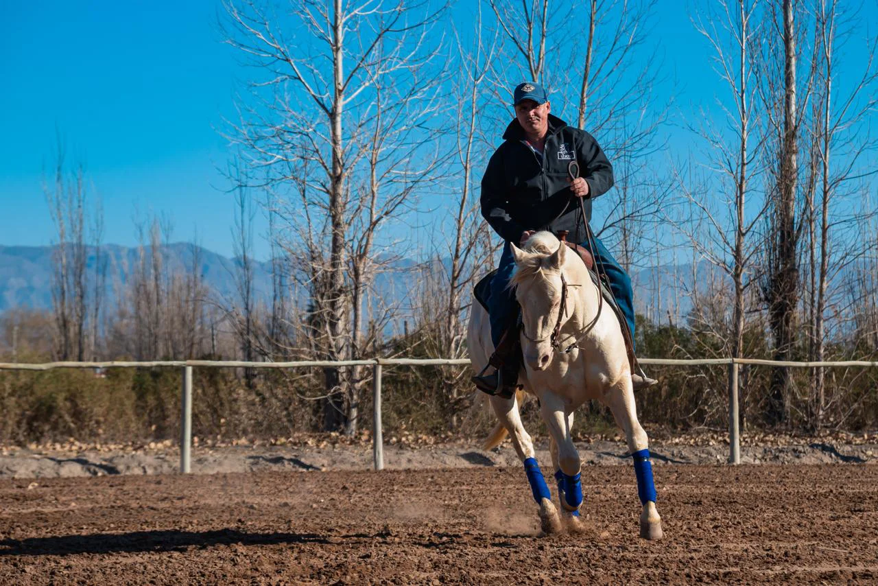 reining lavalle