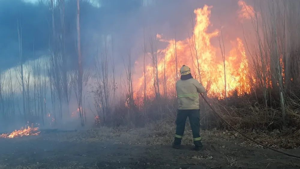 bombero tulumaya