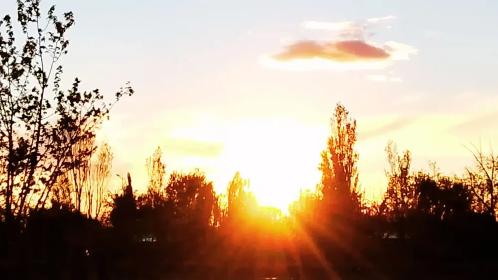 Feliz Nochebuena (12)