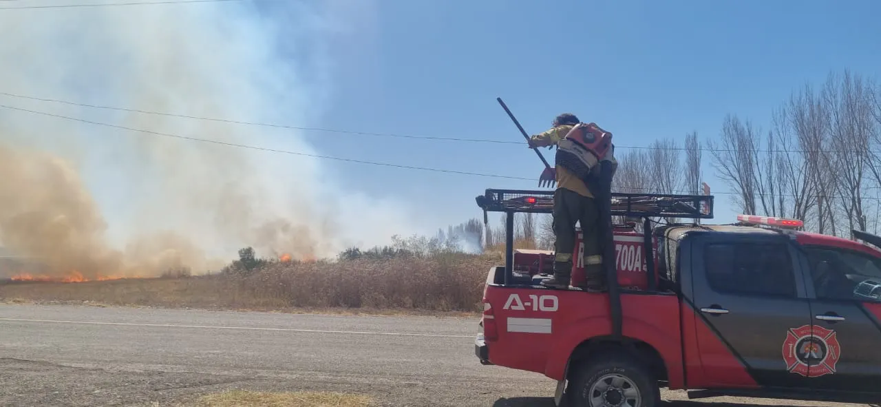 WhatsApp Image 2025-08-28 at 10.13.59 AM