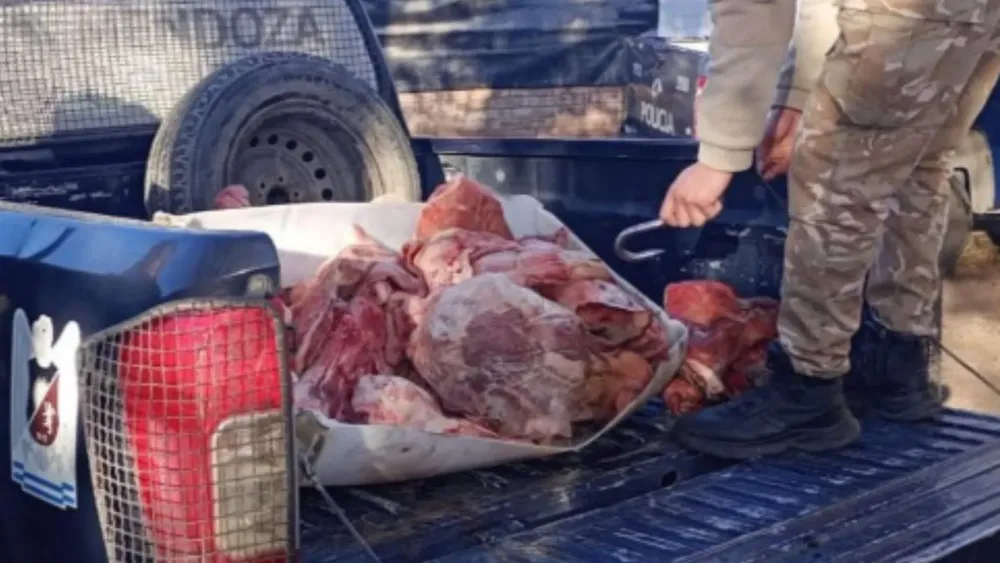 Feliz Nochebuena - 2025-06-15T222457.873