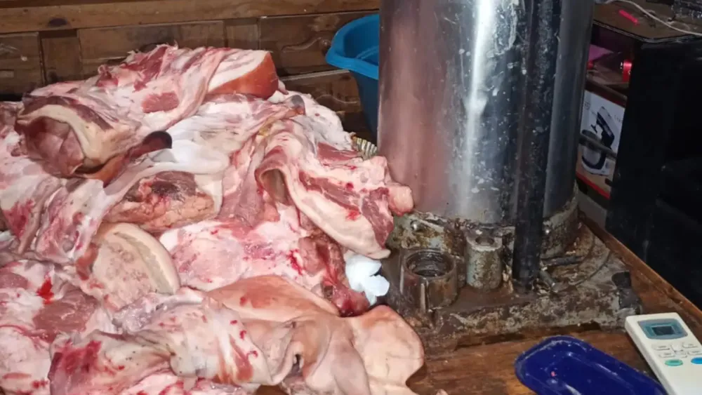 Feliz Nochebuena - 2025-06-05T020649.443