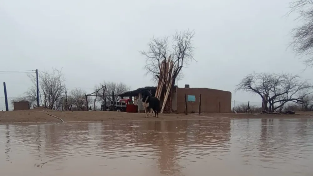 Feliz Nochebuena - 2025-09-02T153413.044