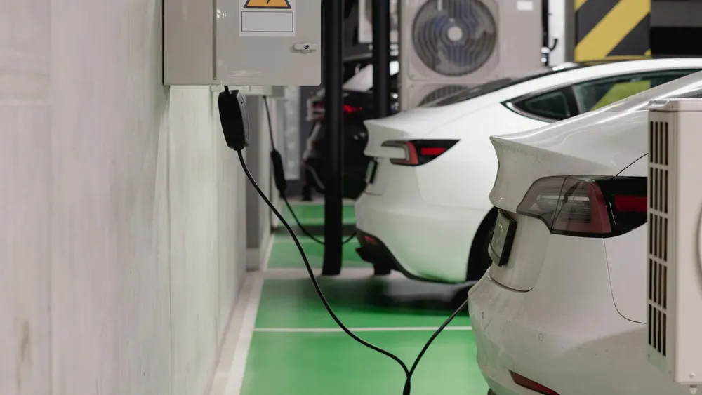 Feliz Nochebuena (33)