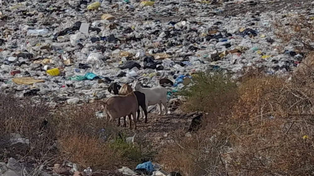 Feliz Nochebuena - 2026-01-14T202506.123