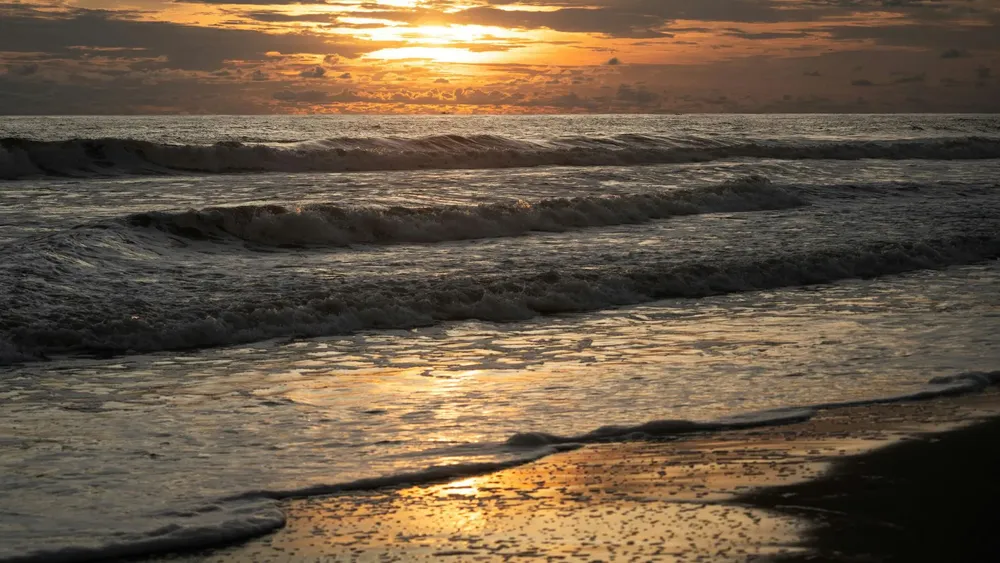 Feliz Nochebuena (87)