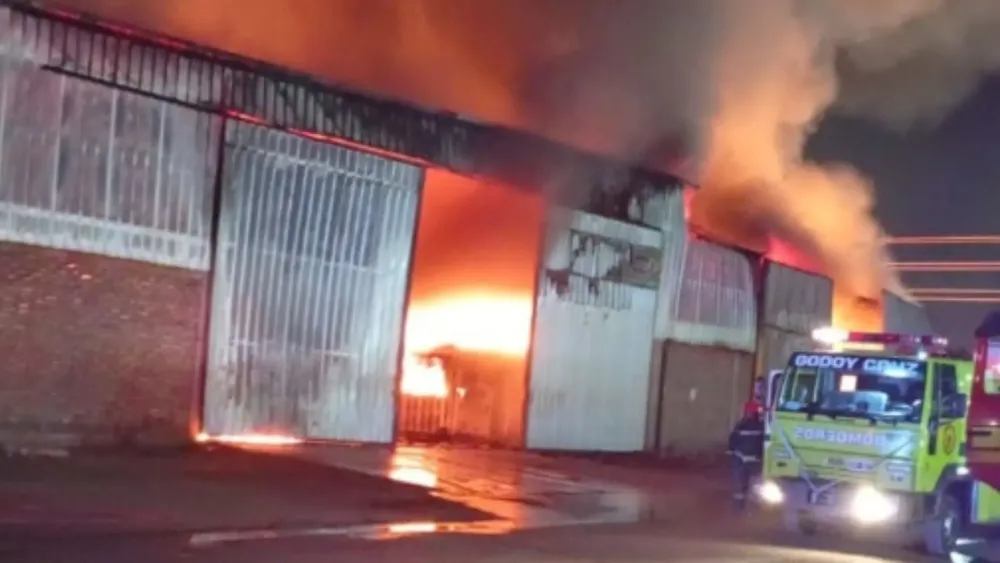 Feliz Nochebuena (29)