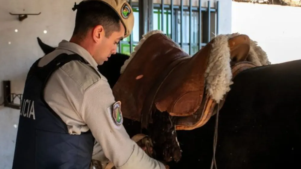 Feliz Nochebuena - 2025-06-16T002813.871